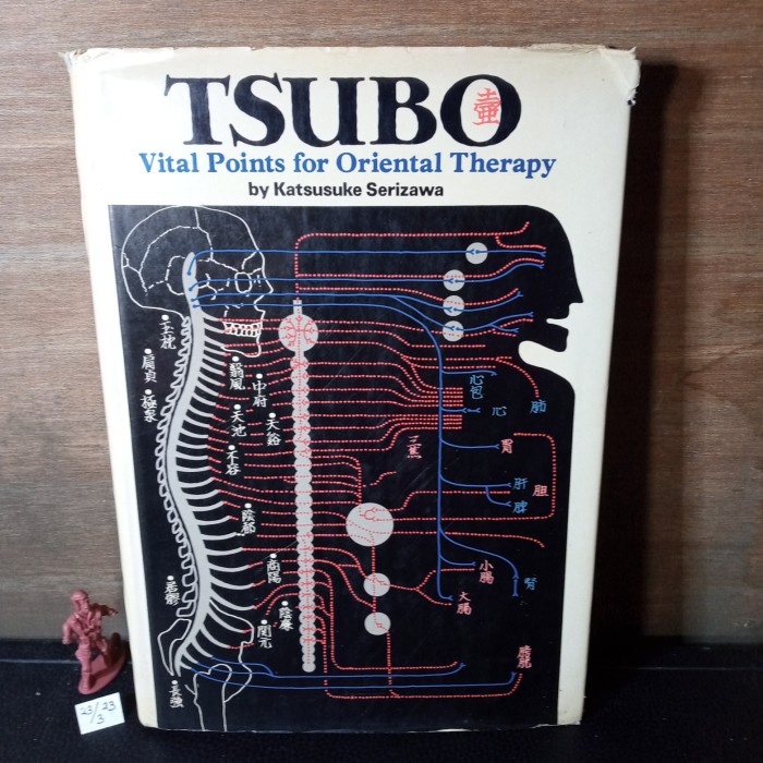 buku bahasa Inggris TSUBO vital points for oriental therapy HC 256 hal