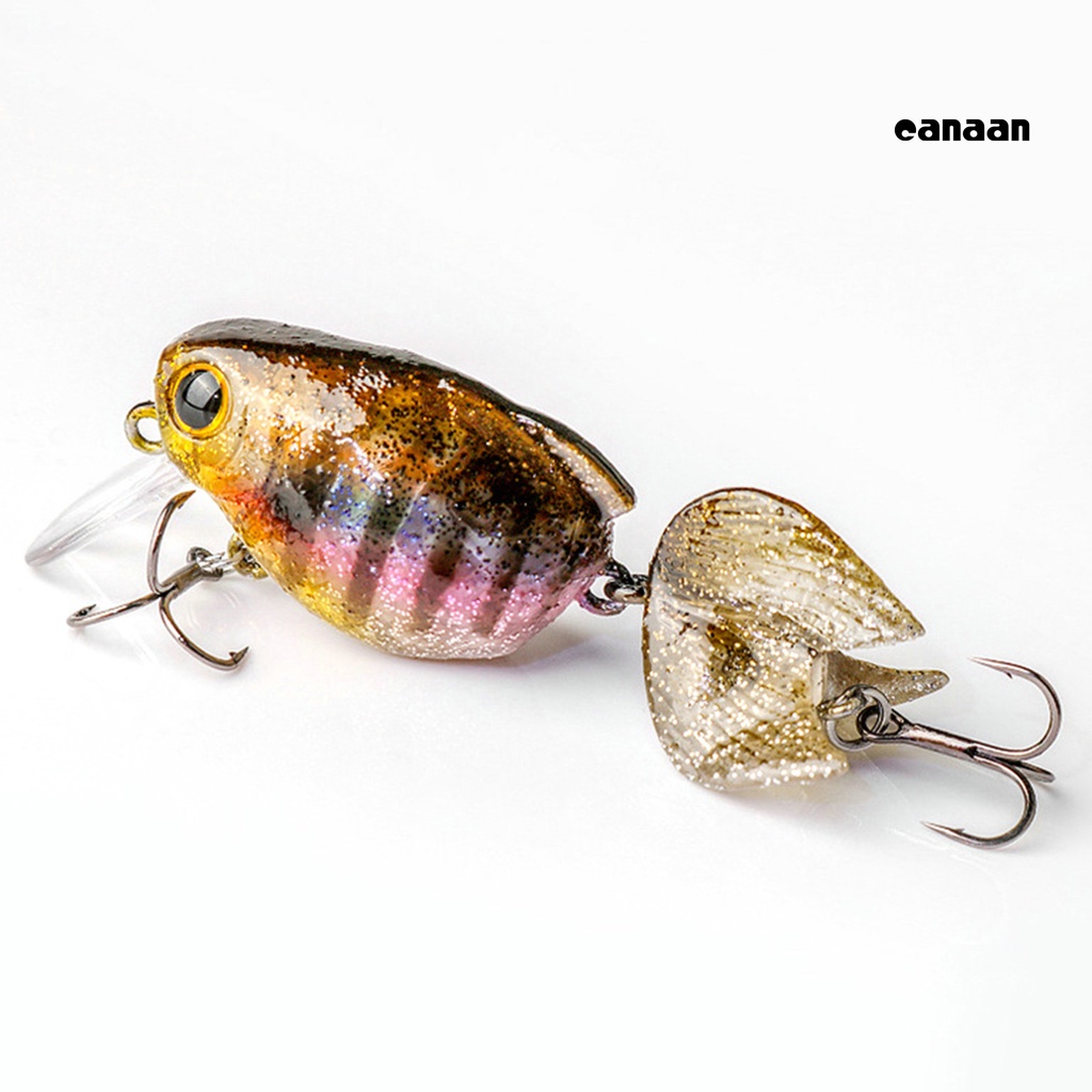 Cnn-5.8cm Umpan Mulut Cocked 3D Simulasi Fisheye Tajam Kait Menggoda Manusia Hidup Buatan Crankbait Memancing Luar Ruangan