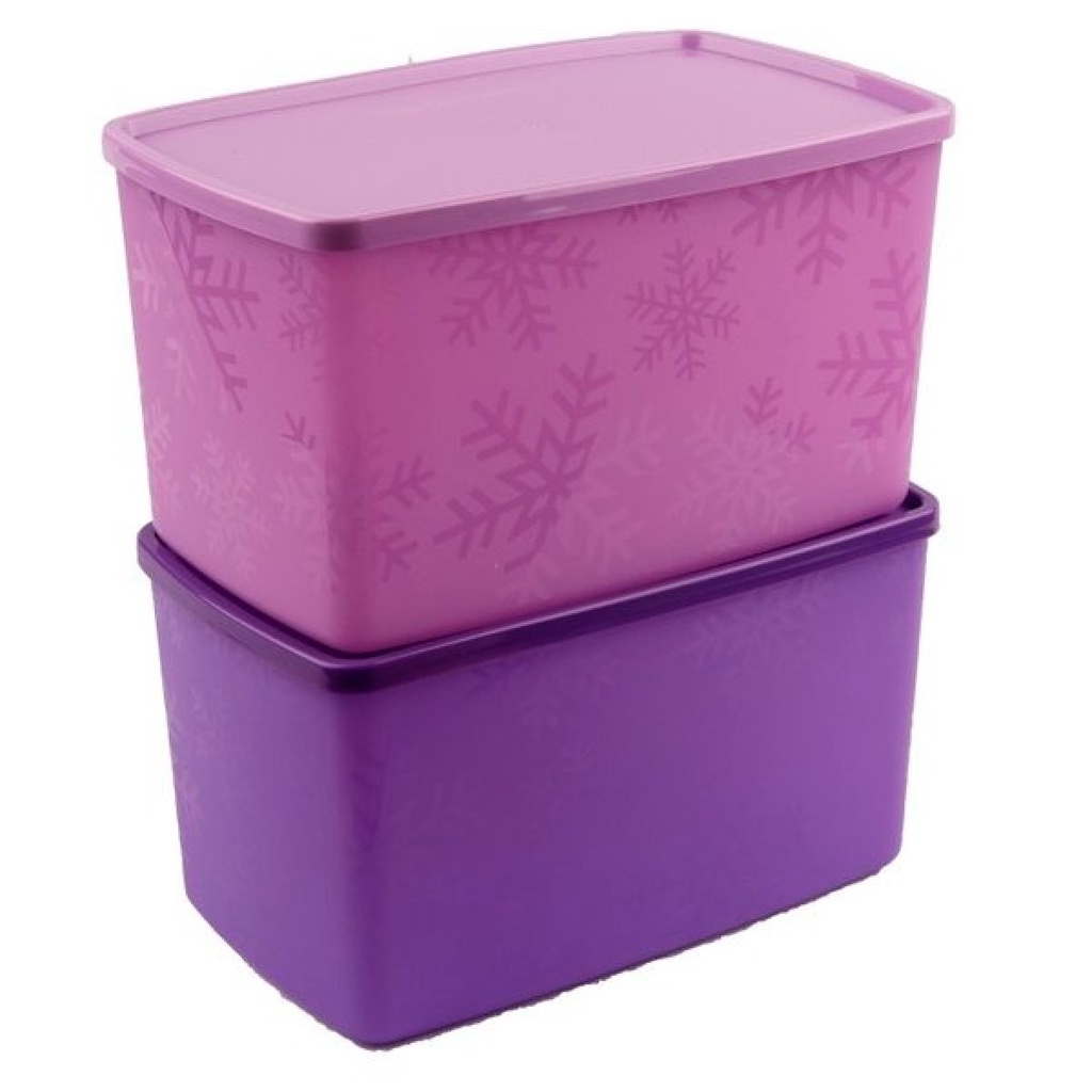 Frosty Frozen Large Freezermate rectangular