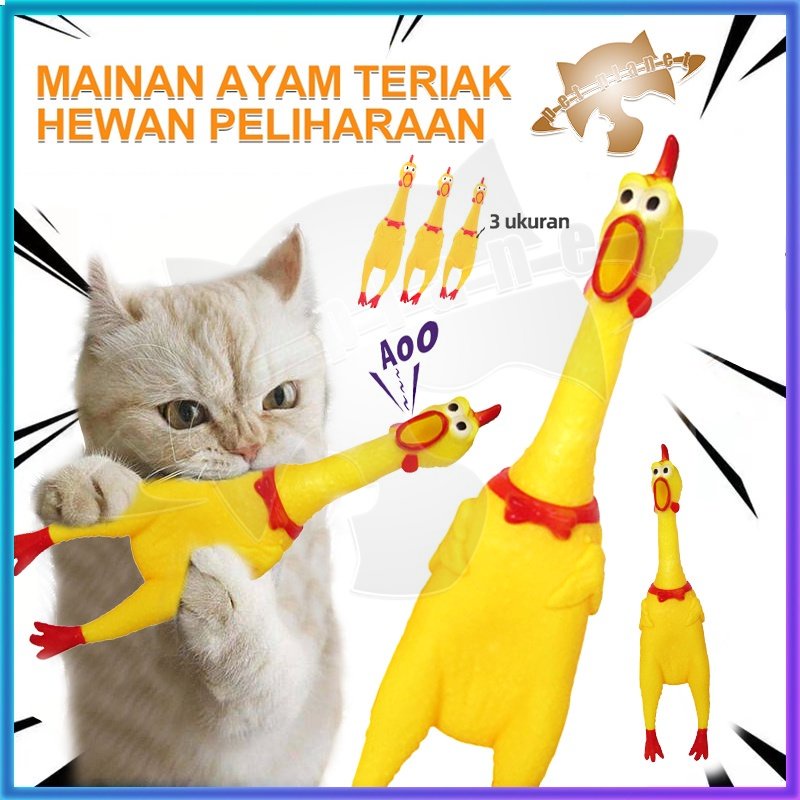 mainan hewan peliharaan ayam berteriak tahan gigitan tahan gertakan gigi hewan mainan hewan peliharaan