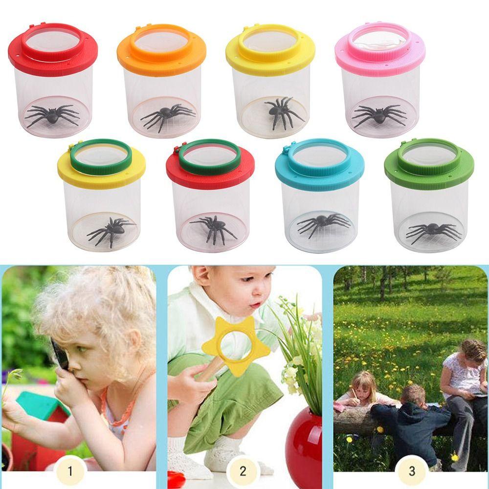 PINEAPPLE Kotak Serangga Nanas Butterfly Spider Ant Backyard Explorer Handheld Insect Observer