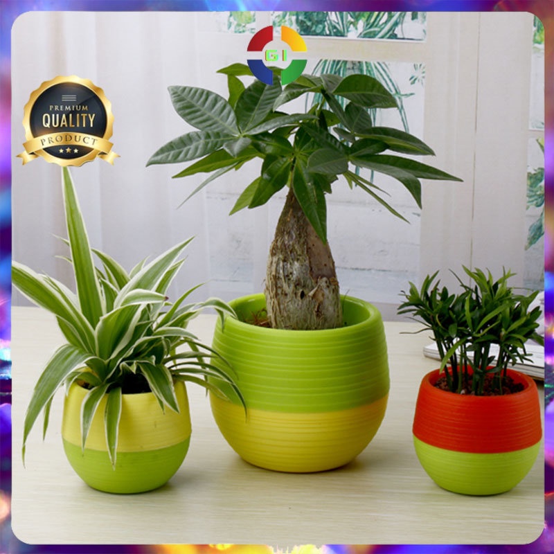 Mini Pot Bunga Hias Kaktus Tanaman Multi-Color