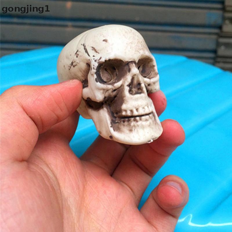 Ggg Halloween Kepala Tengkorak Buatan Model Tengkorak Bone Horror Mengerikan Tengkorak Ornamen ID