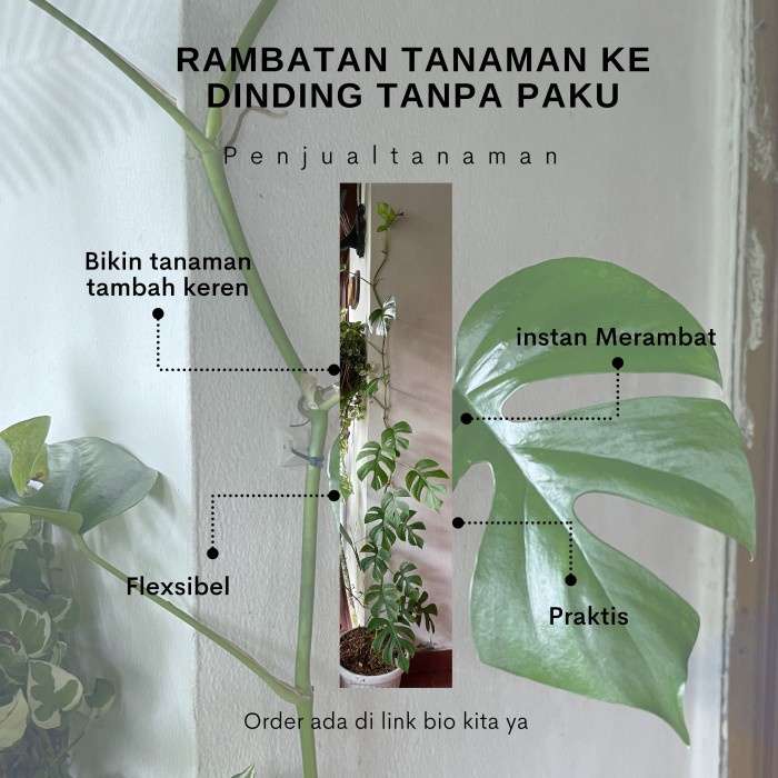 Perekat tanaman ke dinding tanpa paku isi 10pcs