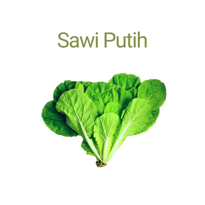

Sawi Putih Casanova Hydroponic