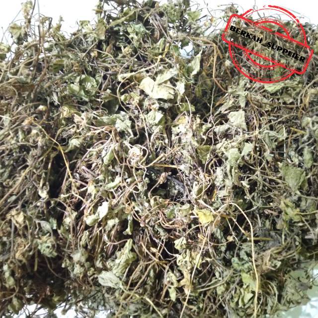 

Daun Pegagan Kering Asli 500gr / Daun Antanan / Daun Kaki Kuda