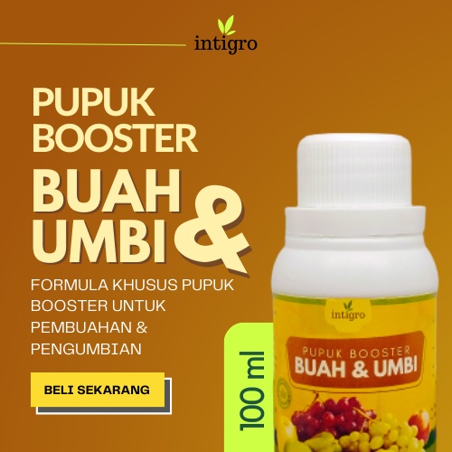 Pupuk Booster Umbi Bawang Merah Kentang Ketela Pohon Singkong Ubi Jalar Jahe Lengkuas Pembesar Umbi 