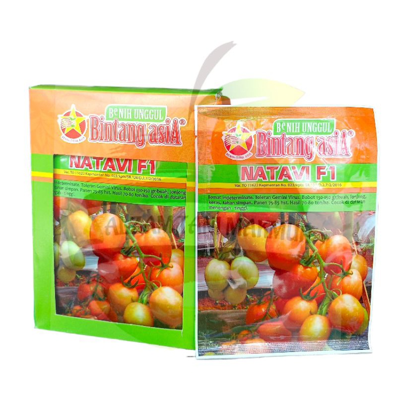 Benih Tomat NATAVI F1 berat 10gram (Tomat Indeterminate)