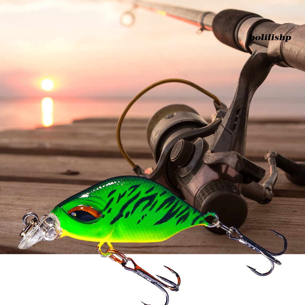 Bo-3.8cm/3.3g Ikan Kecil Umpan Simulasi 3D Fisheye Wobbler Kait Tajam Ganda Mencegah Pelarian Bass Laut Profesional Memancing Umpan Buatan Umpan Keras Memancing Tackle