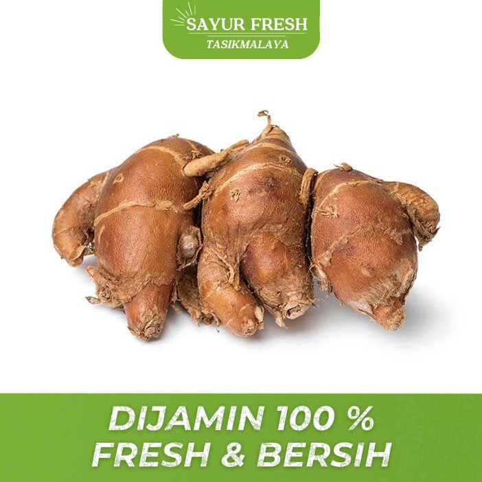 

Bumbu Utuh - Kencur (100gr) - SAYUR FRESH TASIKMALAYA