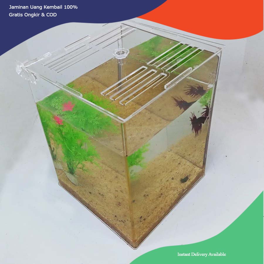 Aquarium ikan cupang, aquarium akrilik ikan cupang, aquarium cupang, soliter cupang