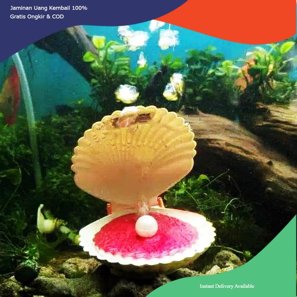 hiasan aquarium kerang mutiara, dekorasi aquarium kerang, hiasan aquarium kerang, dekorasi aquarium 