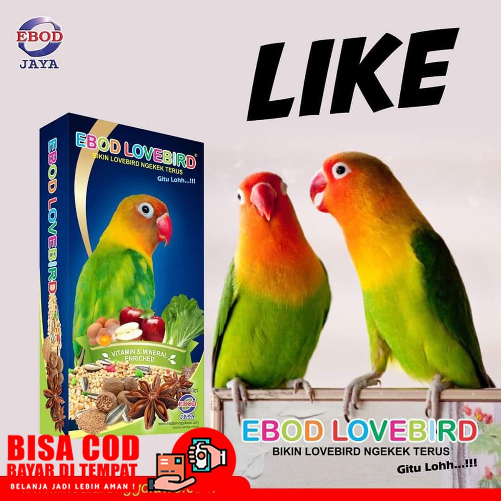 READYEBOD LOVEBIRD KARDUS KOTAK EBOD JAYA PAKAN MAKANAN BURUNG LOVEBIRD FALK SEHAT GACOR NGEKEK
