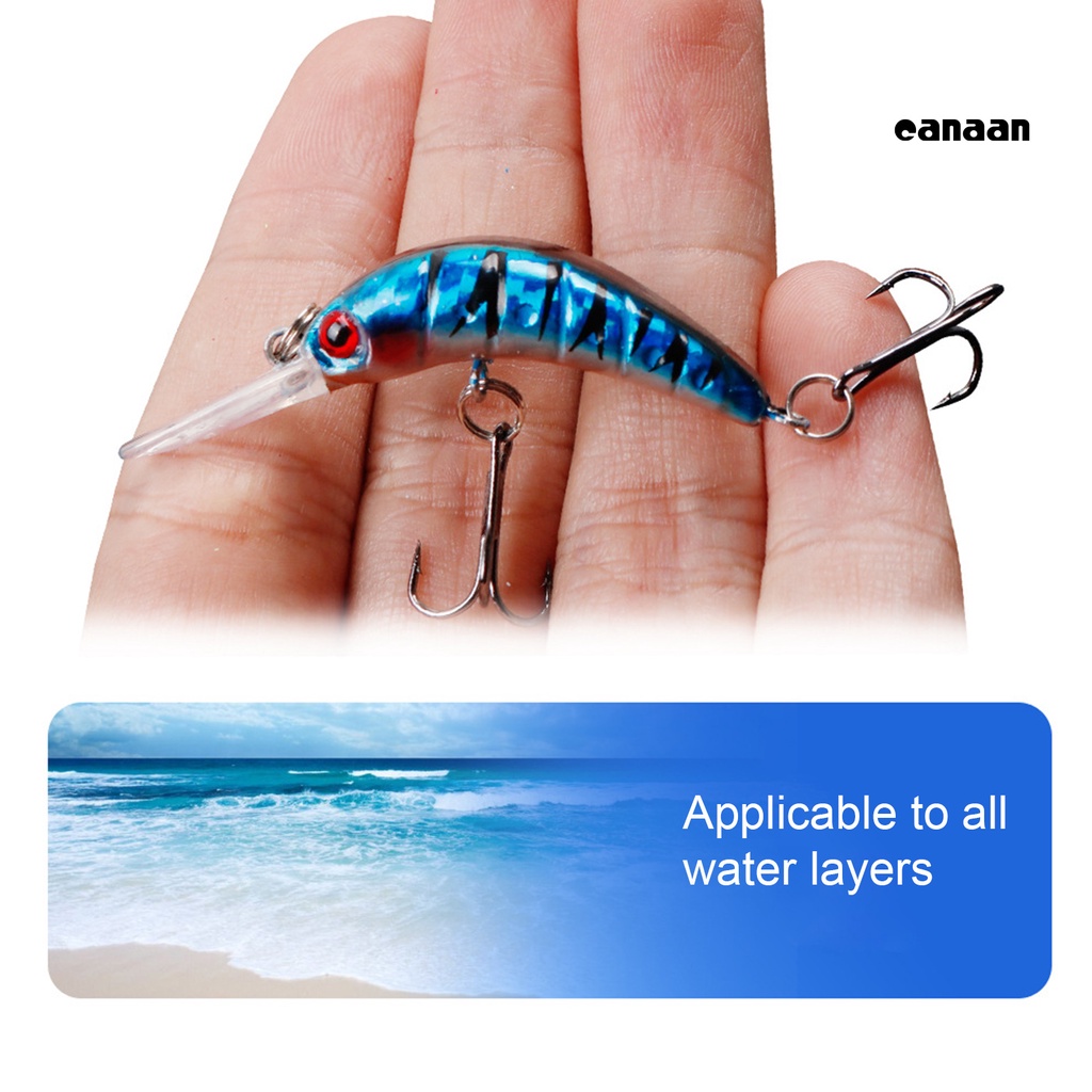 Cnn-5cm Umpan Ikan Lidah Panjang Buatan Multi Kolololr Manusia Hidup Outdoor Fishing Lure