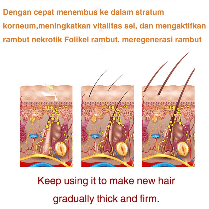 penumbuh rambut Hair growth serum penumbuh rambut botak serum penumbuh rambut 20ml serum rambut rontok Penumbuh Rambut Cepat