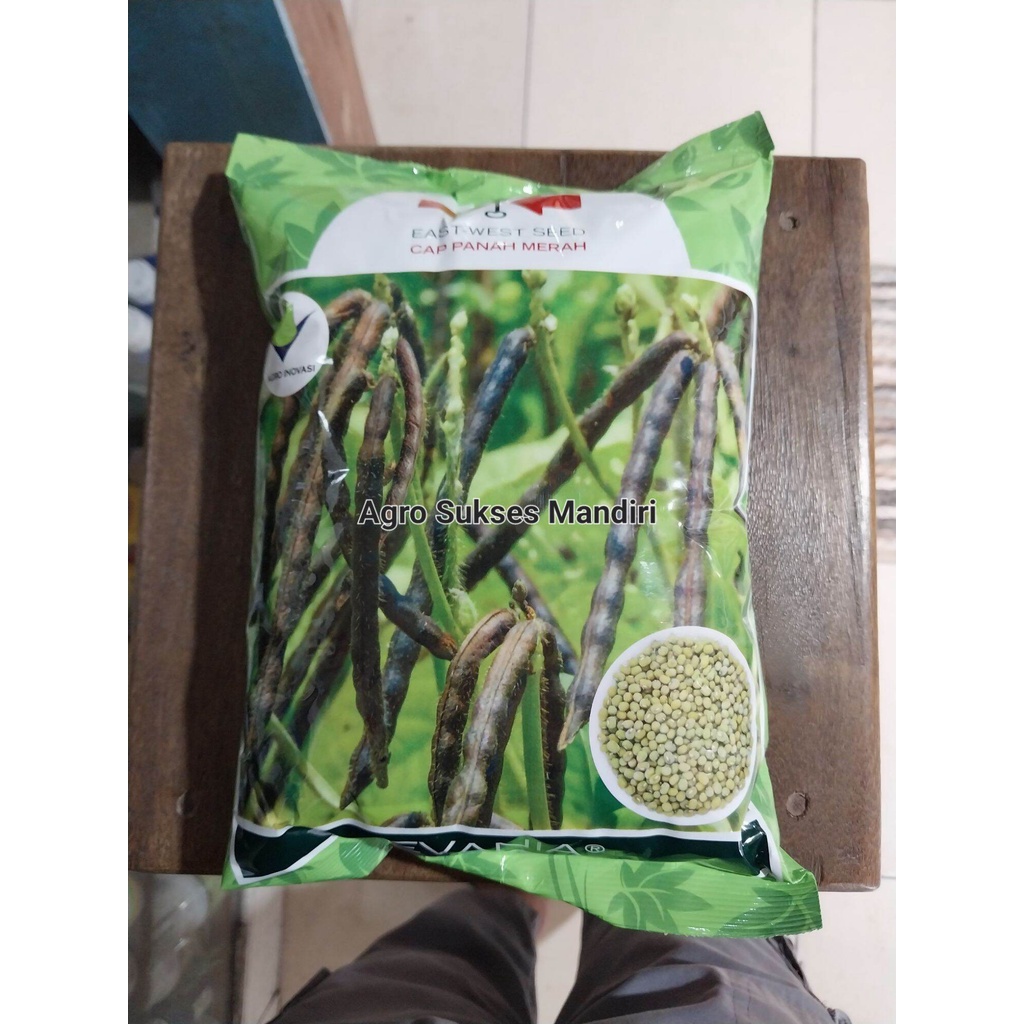 Benih Kacang Evania/Benih Kacang Hijau Evania 1kg/Bibit Kacang Hijau Evania 1 kg/Benih/Bibit Kacang 