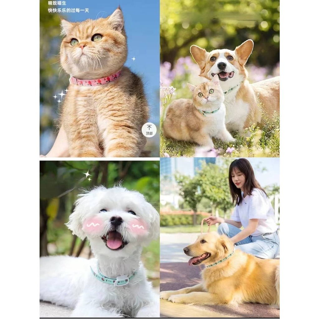 Kalung Anti Kutu Serangga Anjing dan  Kucing/Dog  Cat Flea Tick Collar