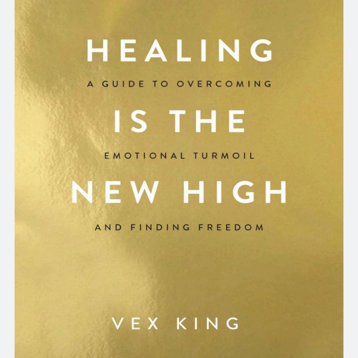 Healing Is The New High - Vex King