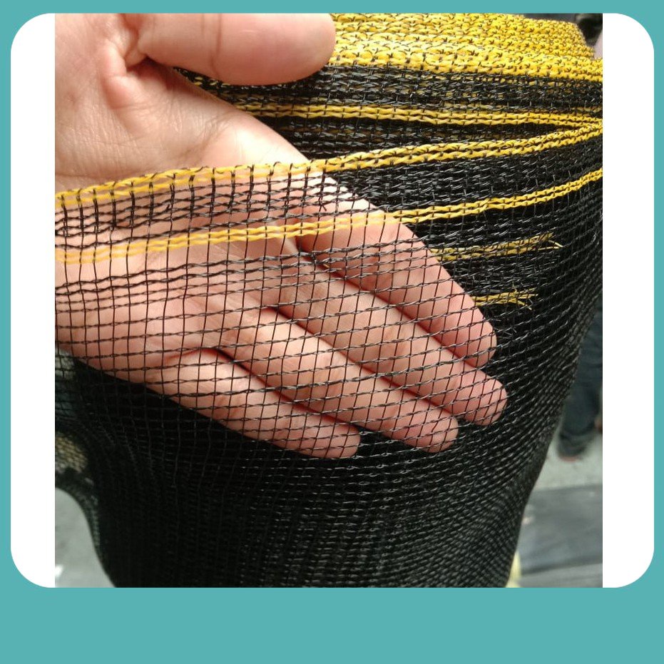 Waring Ikan Benang Single Waring hitam waring burung waring ikan waring pagar