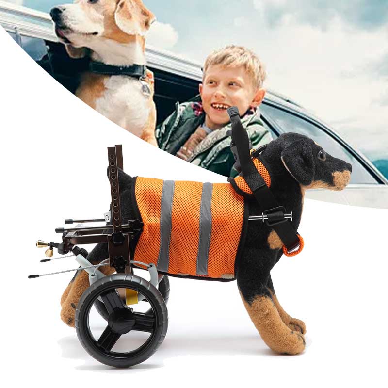 Kursi Roda Anjing Hind Legs Wheelchair Anjing Alat Bantu Jalan Anjing