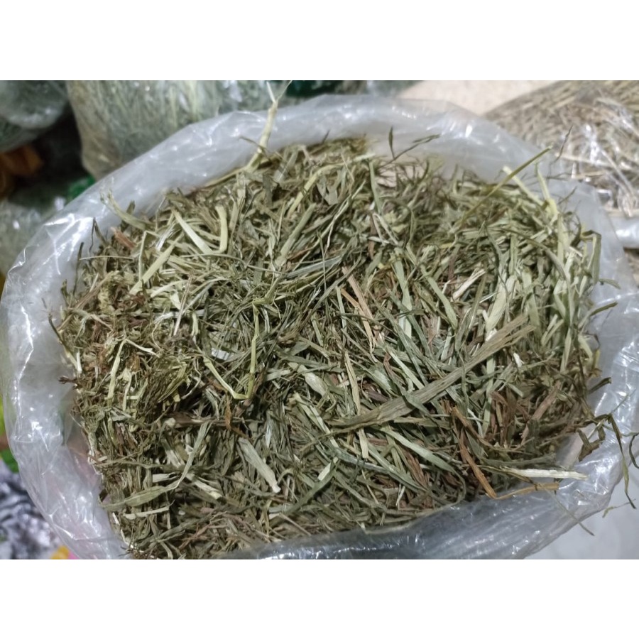 Daily Timothy Hay Best Choice 100% Organic 100g Rumput Makanan Kelinci