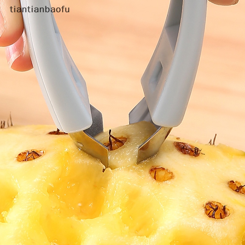 [tiantianbaofu] Stainless Steel Strawberry Pineapple Eye Peeler Seed Remover Klip Alat Buah Butik