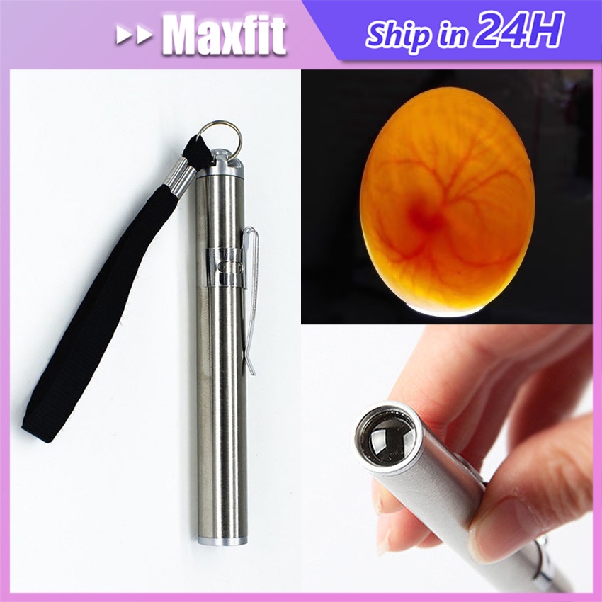 WRT Senter Telur Stainless steel Senter Teropong Cek Telur Burung Ayam Kenari Bebek Senter Teropong