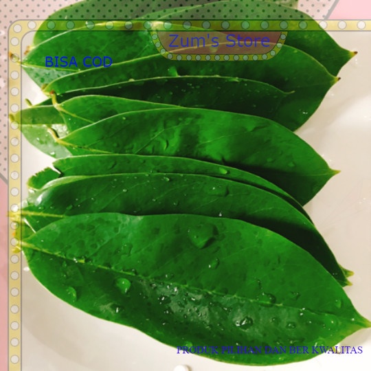 

daun sirsak segar baru petik,bahan masakan 250 gram