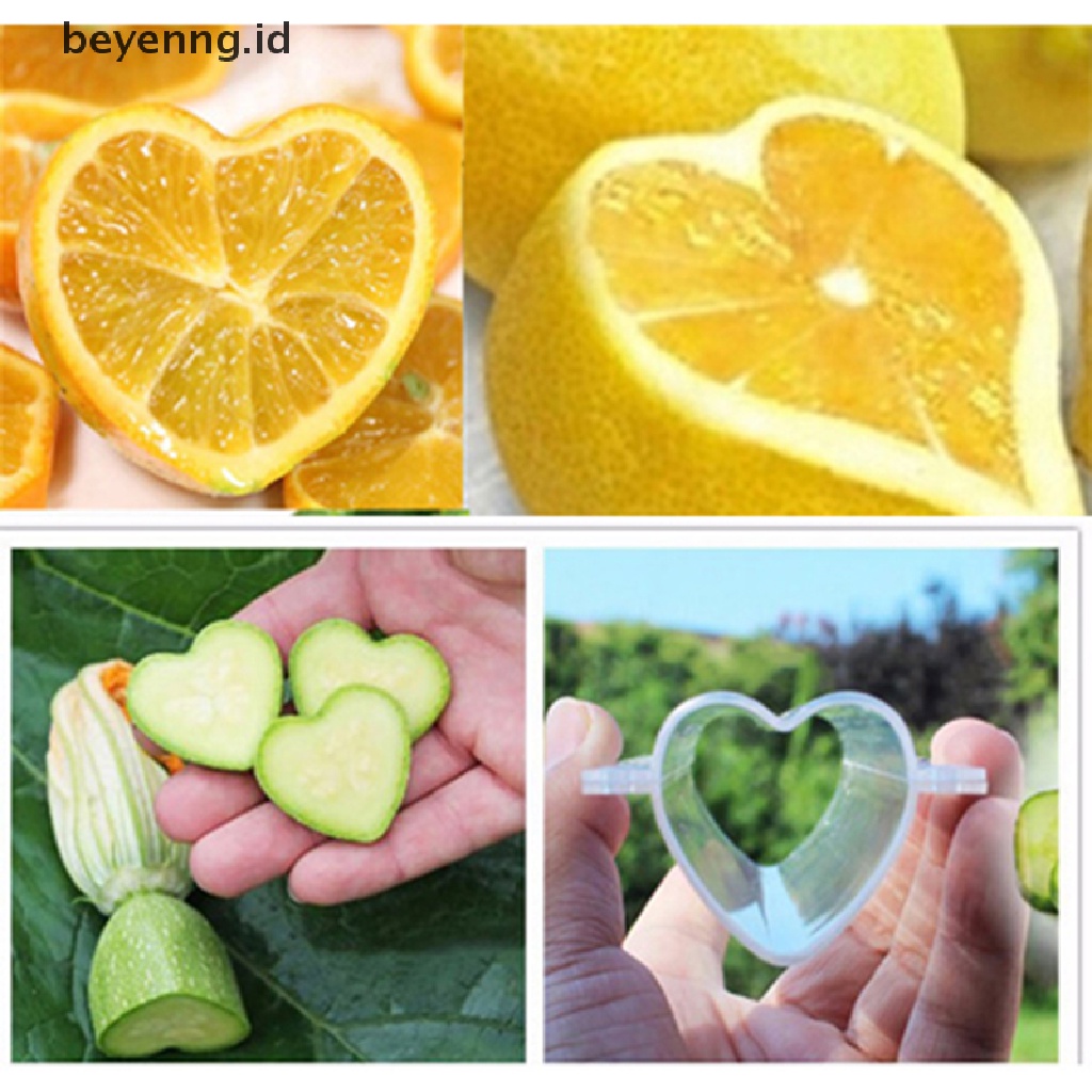 Beyen Cetakan Pembentuk Pertumbuhan Timun Plastik Heart/Star Fruit Shaping Growing Mold ID