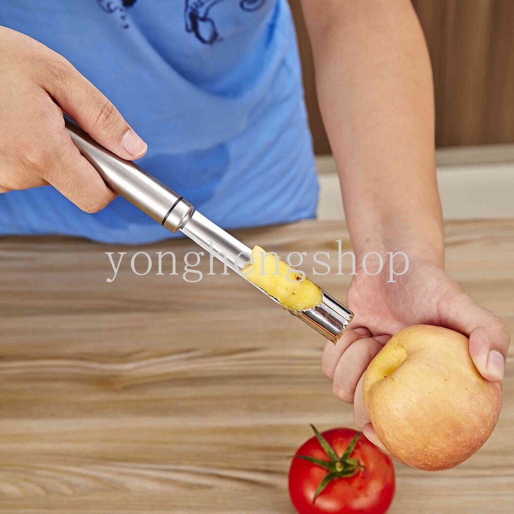 1pcs Stainless Steel Apple Pear Corer Remover Kurma Merah Alat Penghapus Inti Seeder Buah Sayur Gadget Dapur