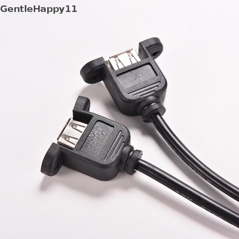 Gentlehappy 1pc Hitam 30cm/1FT 2port USB A Female Ke Kabel Adaptor Header 9pin Internal id