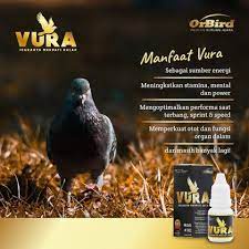 JUAL VURA ORBIRD ASLI SOLO  SUPLEMEN DOPING BURUNG MERPATI BALAP KOLONG POS DURASI NAFAS PANJANG