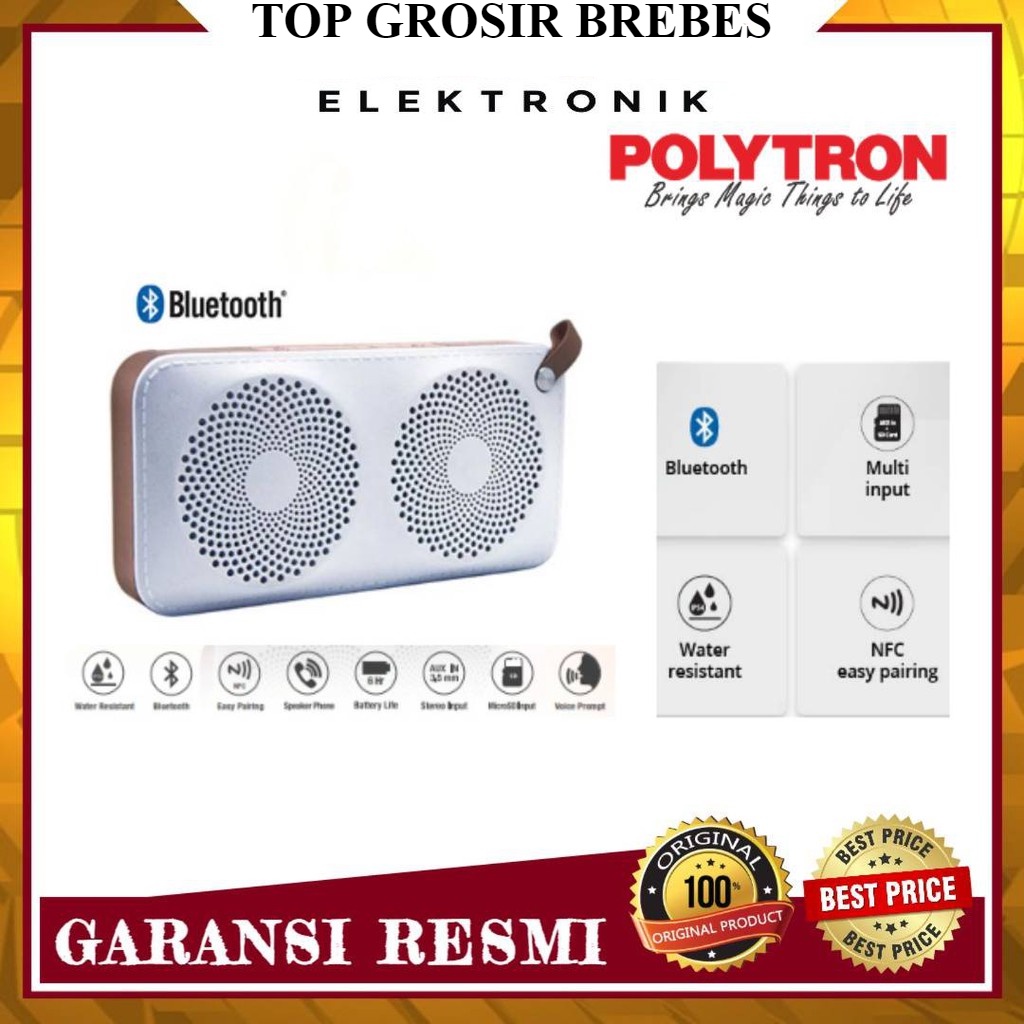 Polytron MUZE PSP B2