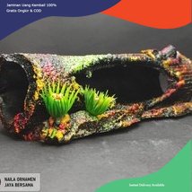 ornamen aquarium batang kayu, dekorasi aquarium batang kayu, dekorasi aquascape batang kayu, hiasan 