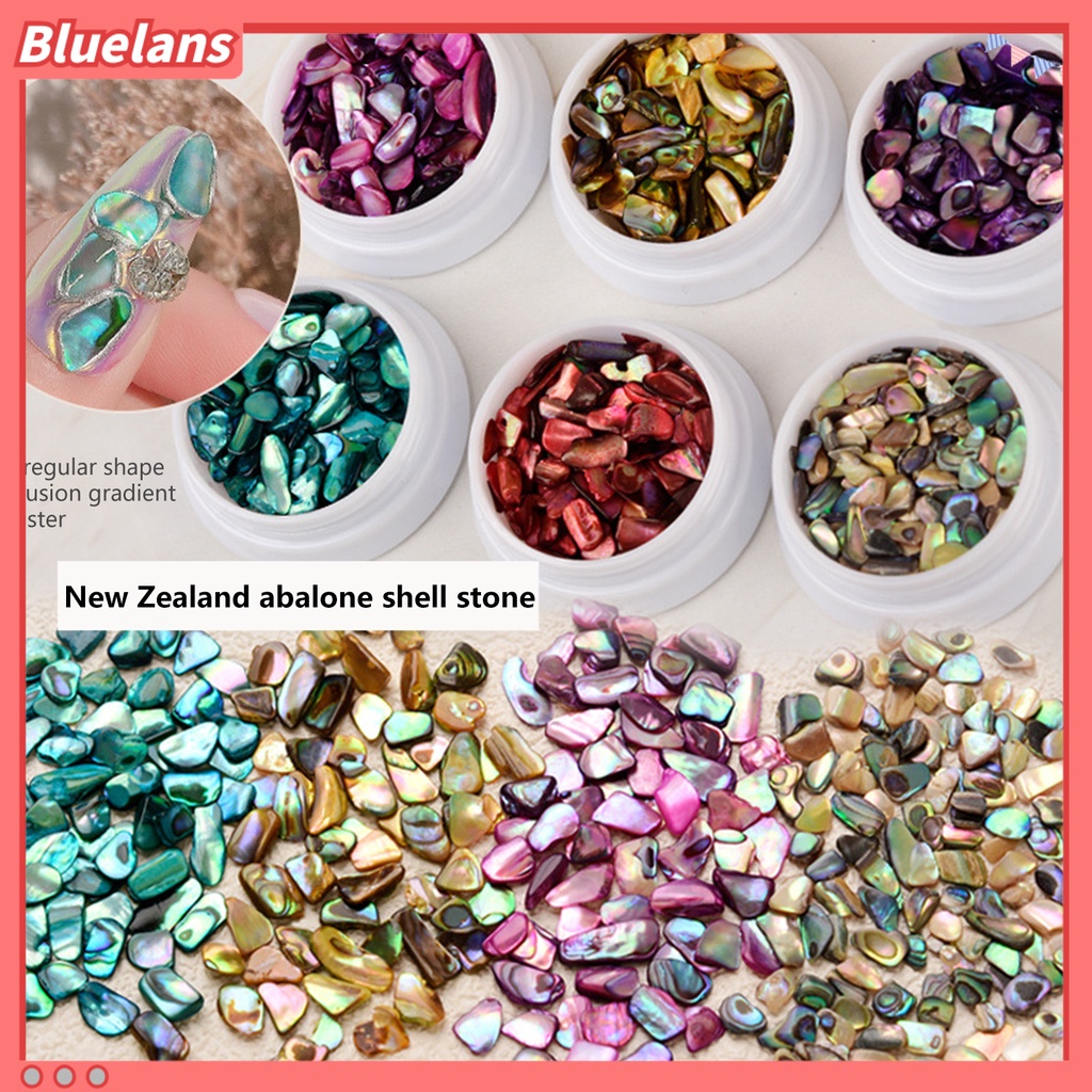 [BLM] Shell Dekorasi Kuku Warna-Warni Alami Abalone Shell Tipis Irisan 3D Nail Art Pesona Manicure Craft Hiasan Perlengkapan Kuku