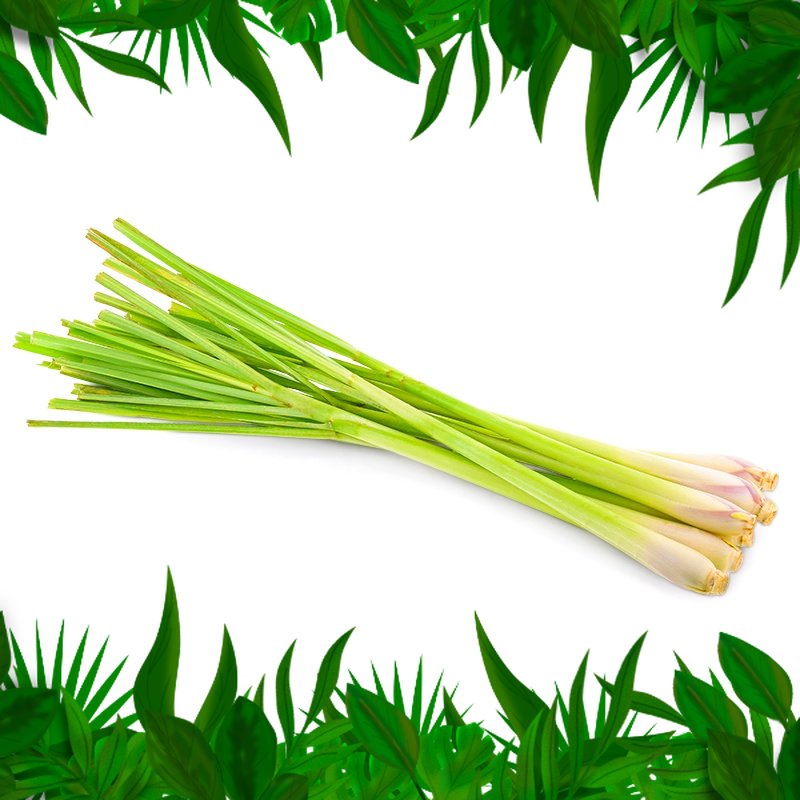 

SAYURAN FRESH NUSANTARA - Sereh 100 gr