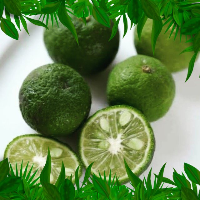 

SAYURAN FRESH NUSANTARA - JERUK LIMO 5pcs