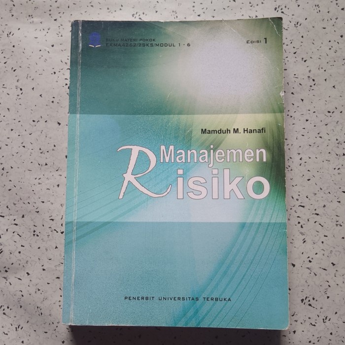 Buku MANAJEMEN RISIKO - Mamduh M. Hanafi