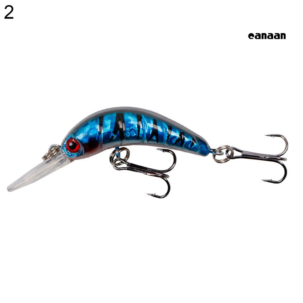 Cnn-5cm Umpan Ikan Lidah Panjang Buatan Multi Kolololr Manusia Hidup Outdoor Fishing Lure