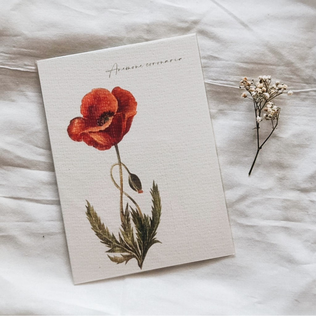 

Postcard Flower Edition by IMAGINEARTWORK14 | Pretty Kartu Pos | Watercolor | Ilustrasi 2