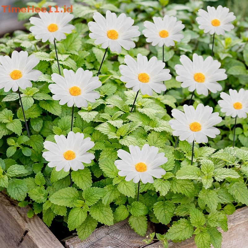 Timehee 10PCS Ikat Daisy Multichamber Stakes Pot Bunga Taman Halaman Tanaman Dekorasi ID