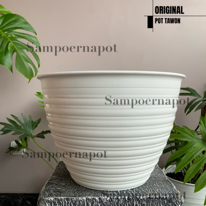 pot bunga tawon putih 30cm