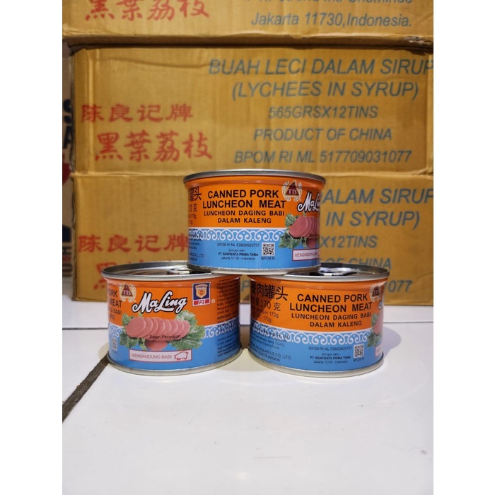 

Maling TTS pork canned 170gr