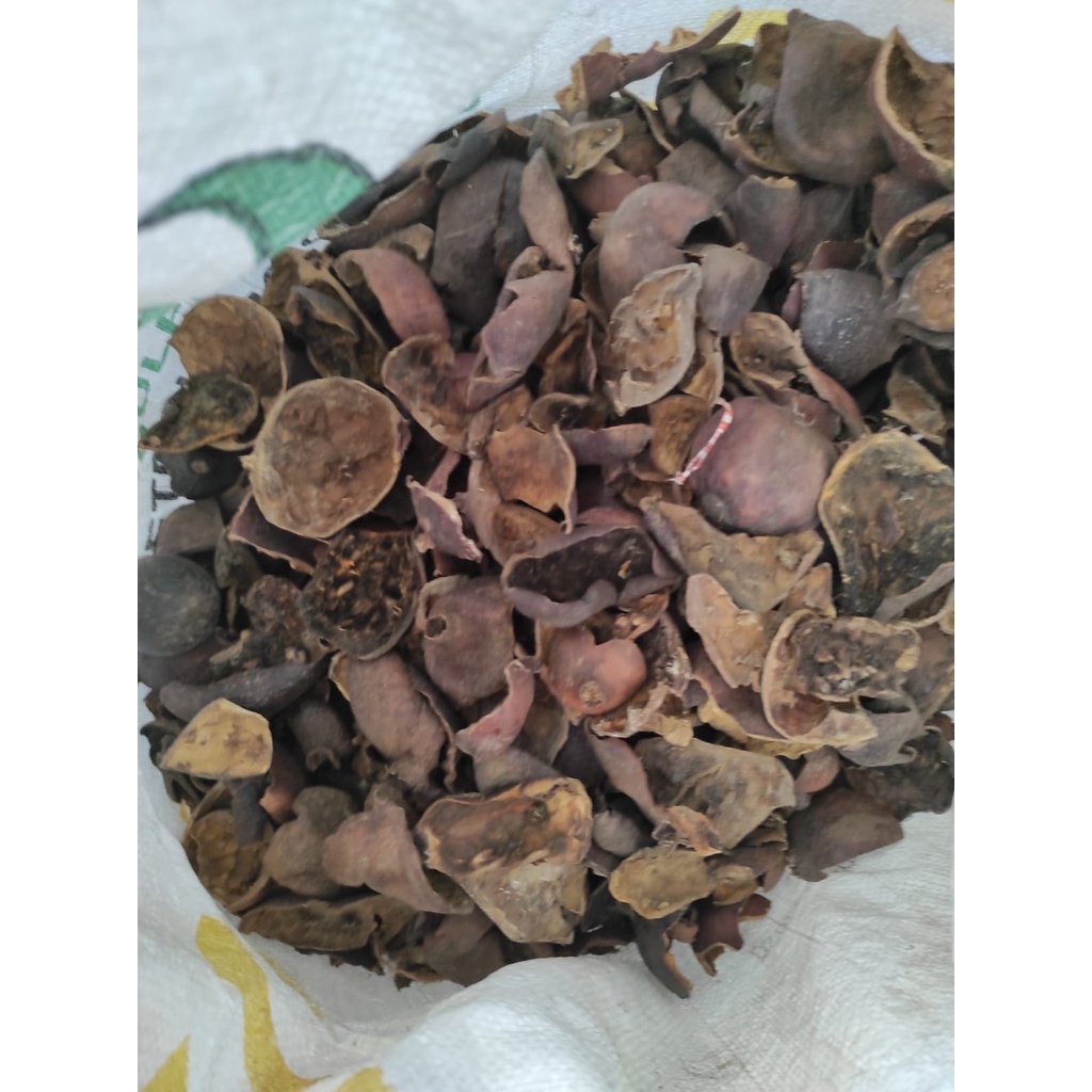 

Bubuk Kulit Delima Kering 1 kg Tanaman Herbal Nusantara Free Stiker PIRT Random