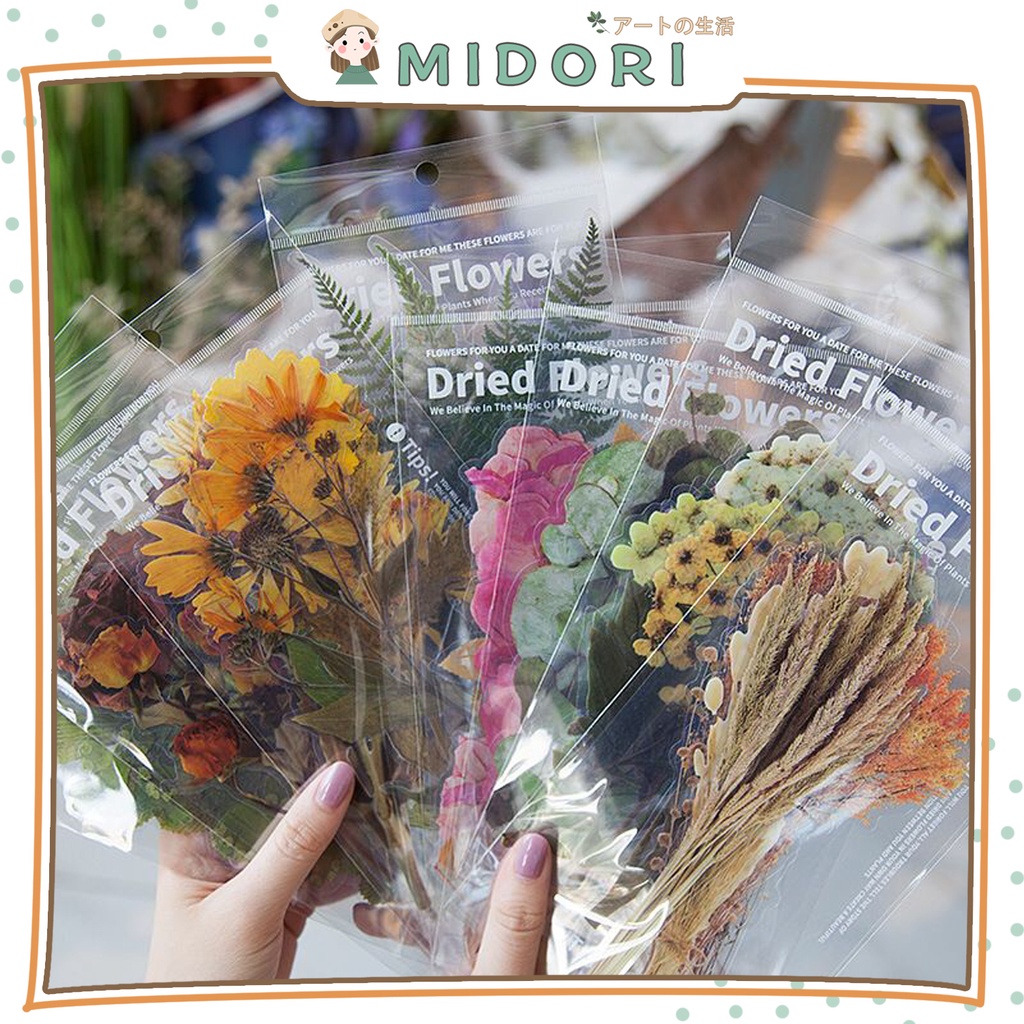 

[MIDORI] 6Pcs DRIED FLOWER Deco Aesthetic PET Sticker Planner DIY Scrapbook - B0412