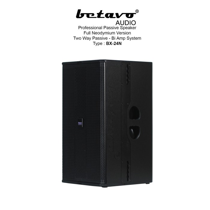 Professional Passive Speaker Full Neodymium Version Betavo BX 24N