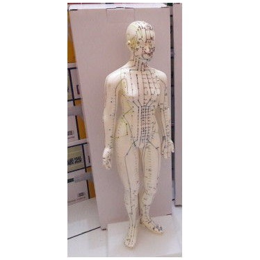 Patung Akupuntur Model WANITA / Boneka Titik Titik Akupuntur