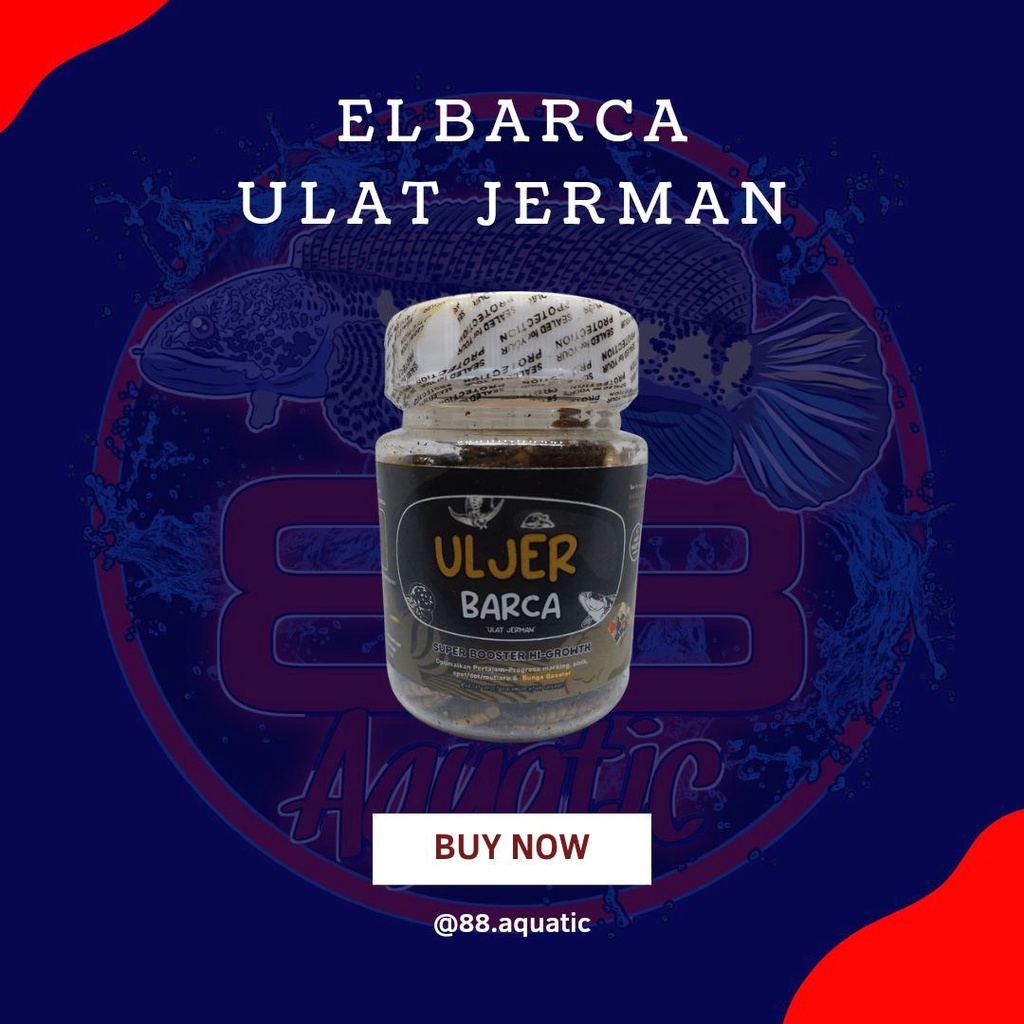 ELBARCA ULJER  [SUPER GROWTH++] Ulat Jerman 40gr BUNGA BOOSTER - Pakan Ikan Channa, Arwana, Louhan, 