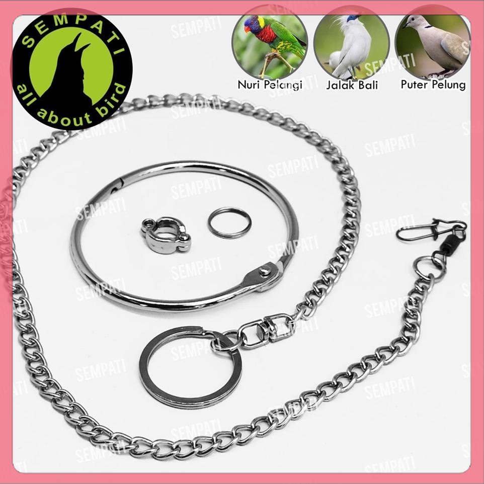 RANTAI KAKI BURUNG NURI PELANGI PUTER PELUNG TEKUKUR DERKUKU FULLSET GELANG RING BORGOL 7 MM FREE FL