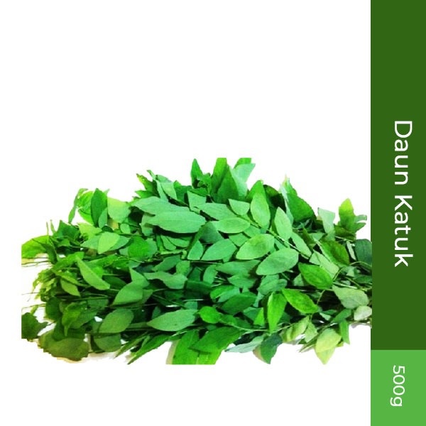 

Daun Katuk 500gr